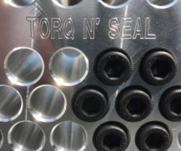 Torq a Seal_1